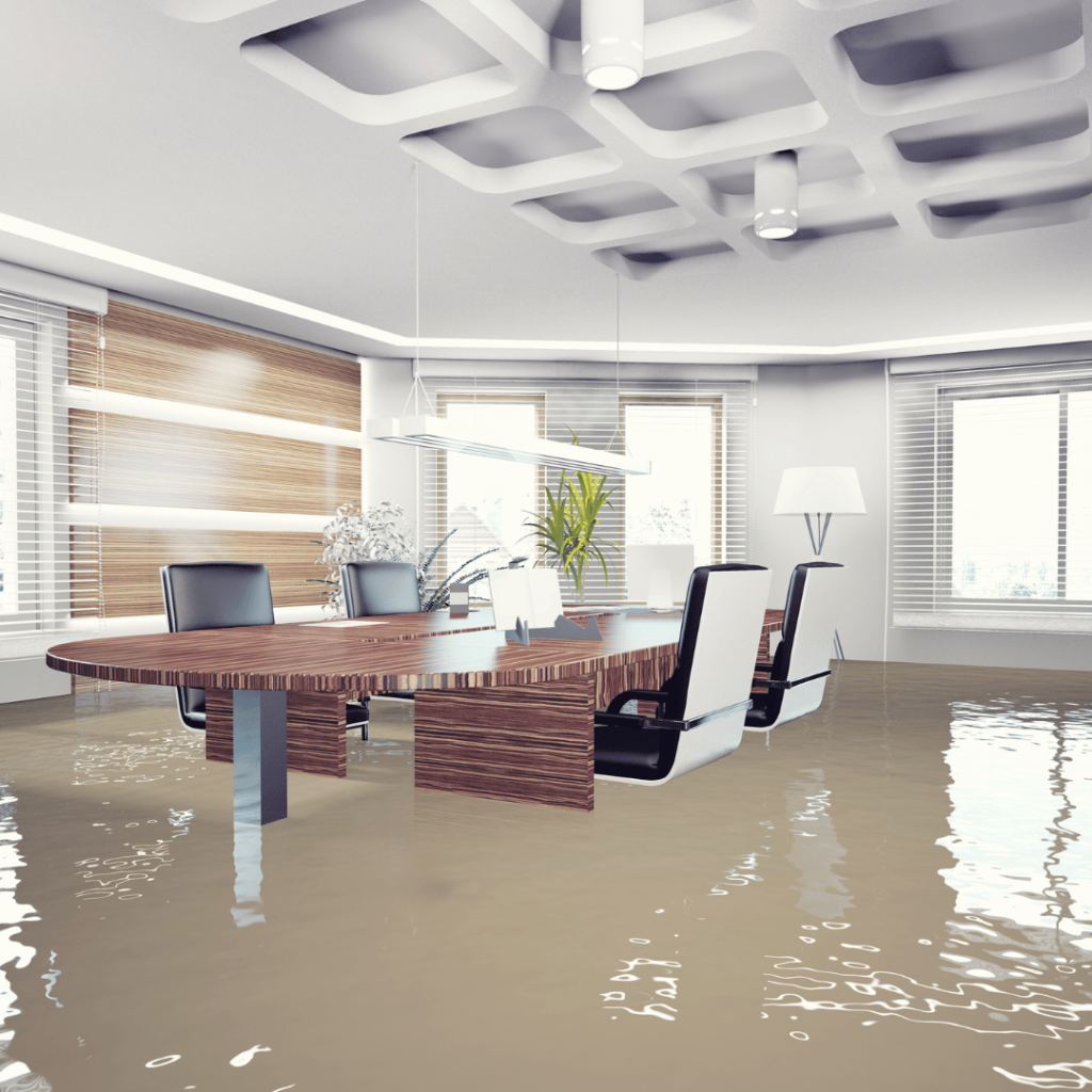 Document Scanning as Disaster Preparedness